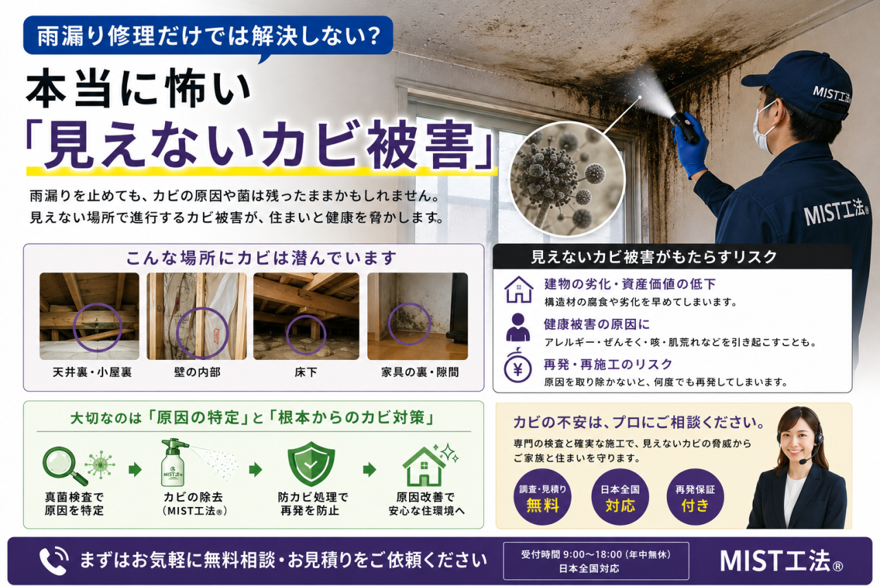 【雨漏り調査だけでは不十分?】見えないカビ被害を防ぐために必要な「真菌検査」と原因究明の重要性