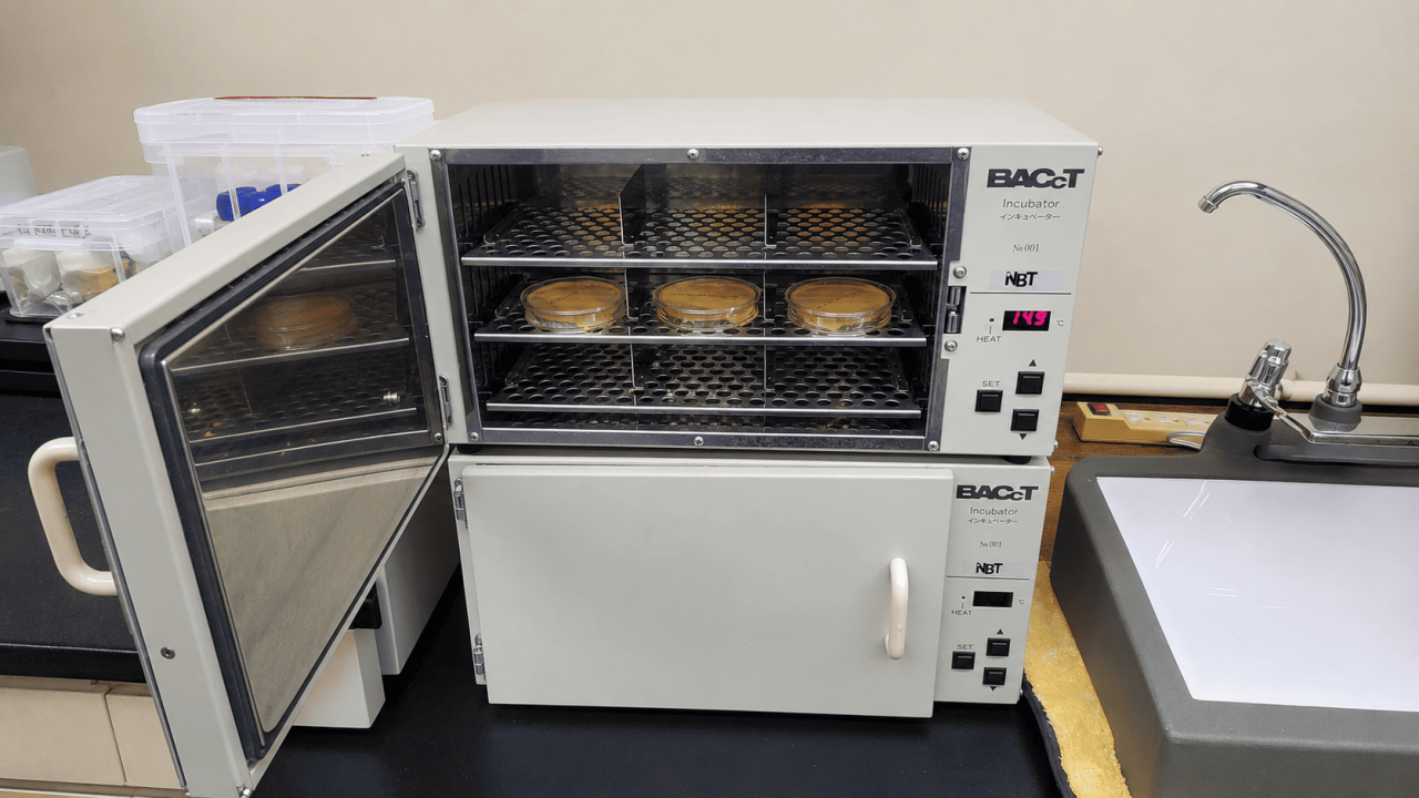 専門機器使用してカビ菌検査を実施