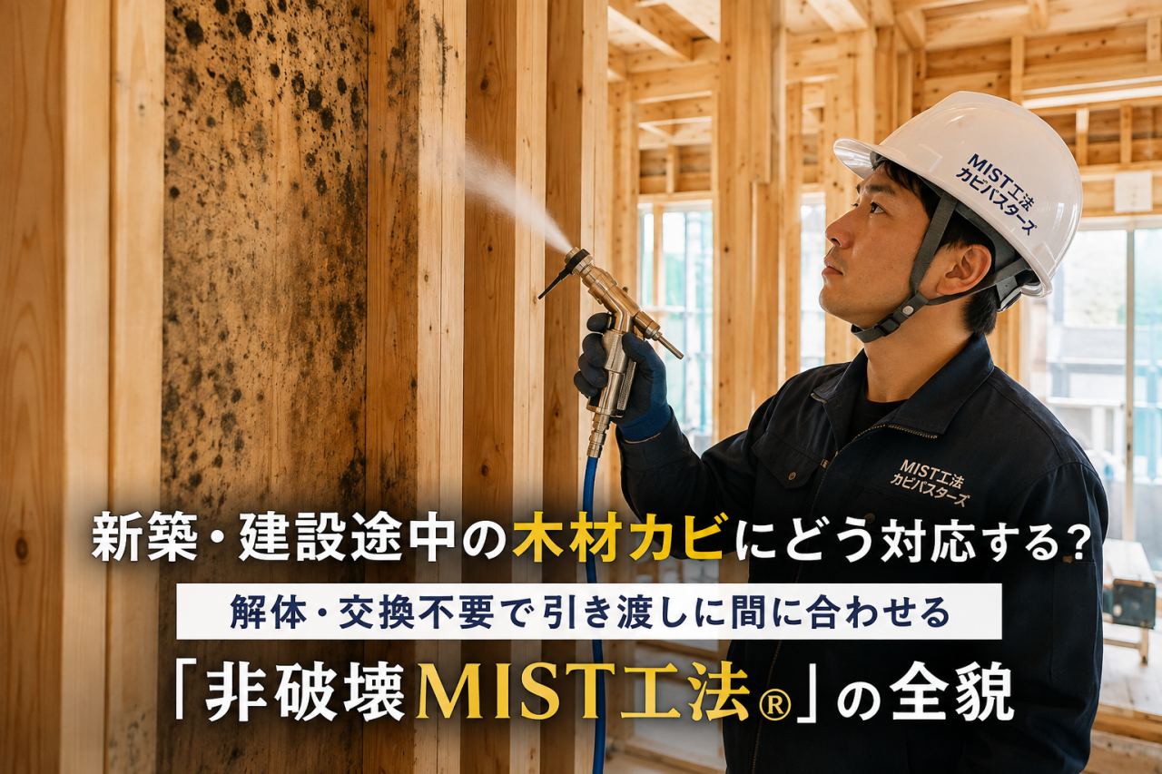 【建設会社・工務店必見】新築・建設途中の木材カビにどう対応する?解体・交換不要で引き渡しに間に合わせる「非破壊MIST工法®」の全貌