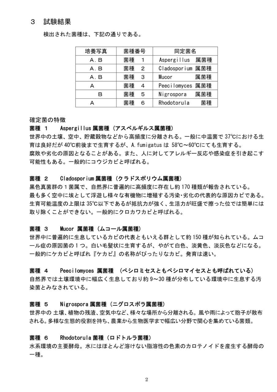 真菌の試験結果一覧