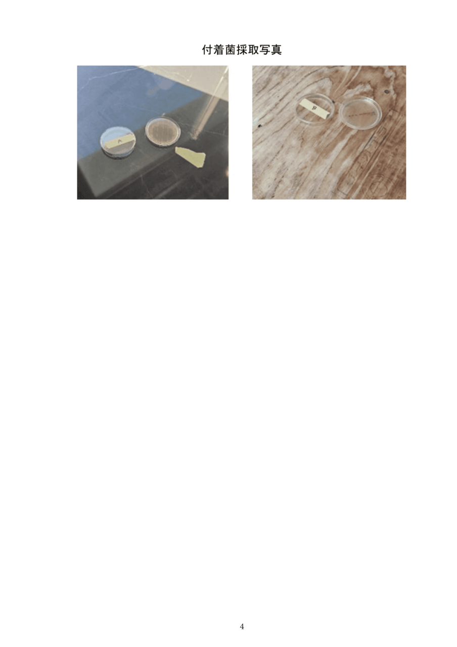 各付着菌採取地点