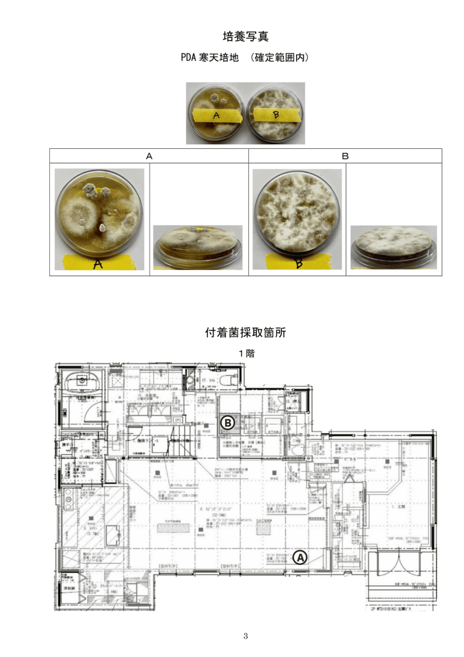 PDA寒天培地における確定範囲内の培養写真