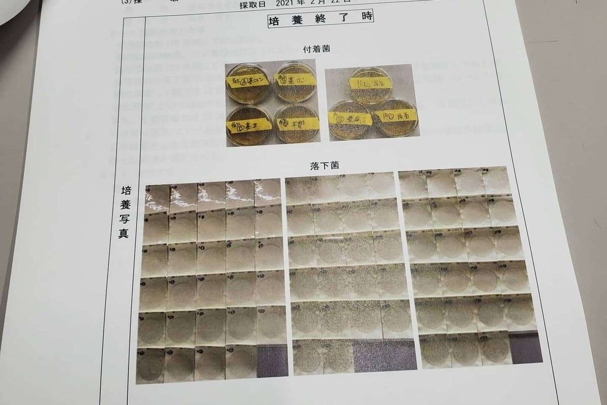 カビ菌検査の報告書