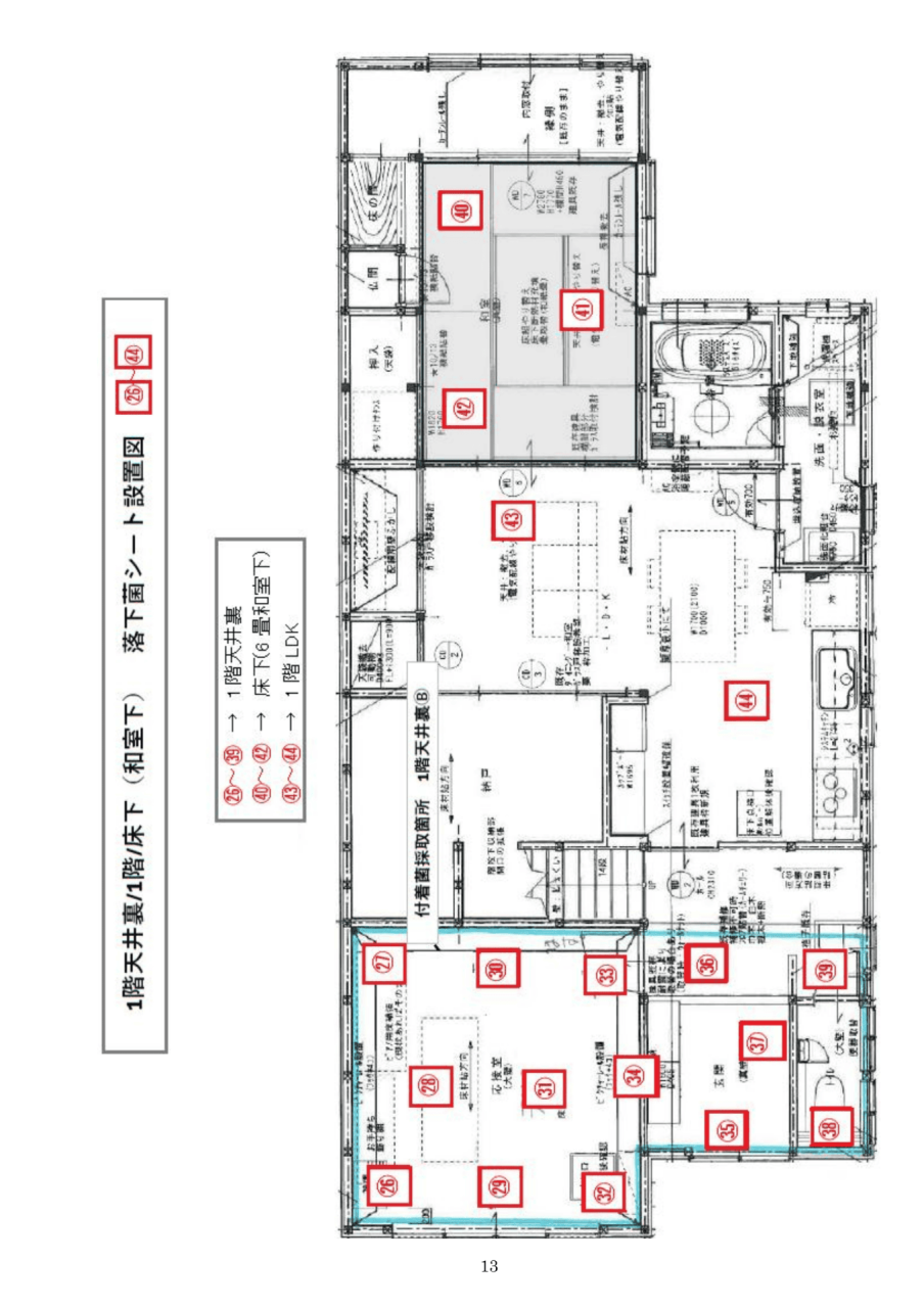 落下菌検査|1階天井裏・床下の採取位置図
