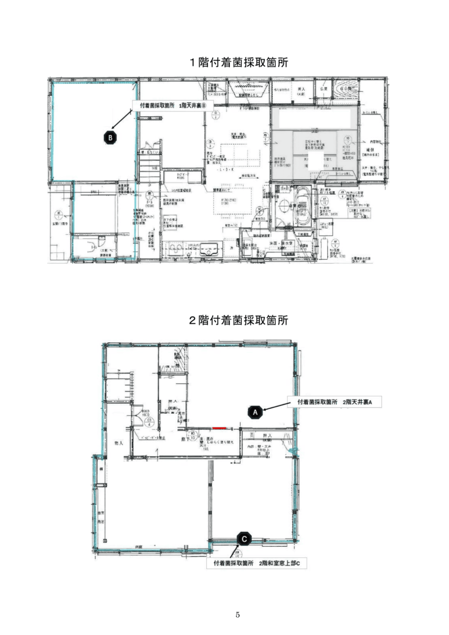 真菌検査報告書|1階・2階の付着菌採取箇所