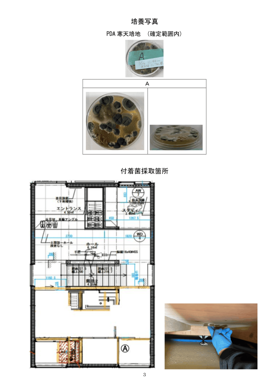 真菌検査報告書｜検出菌種6〜8の特徴