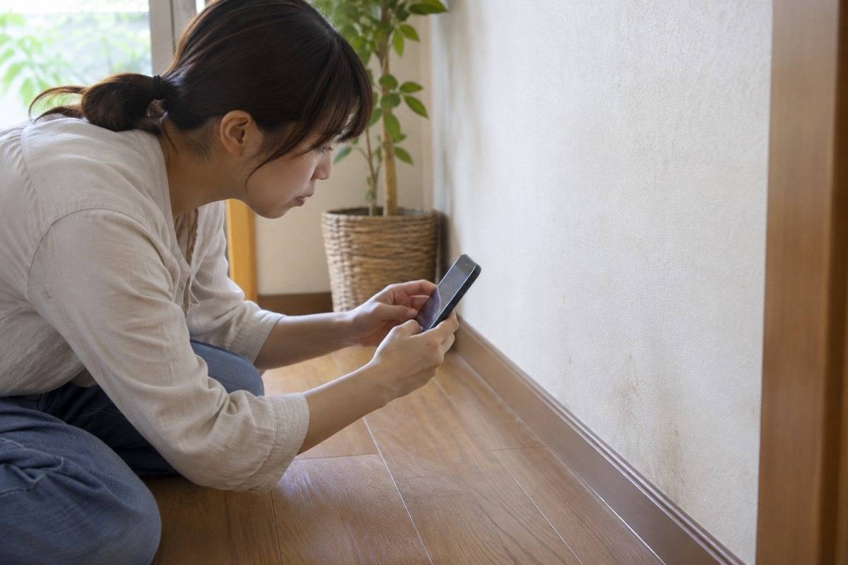 巾木付近の壁紙の変化を記録する場面