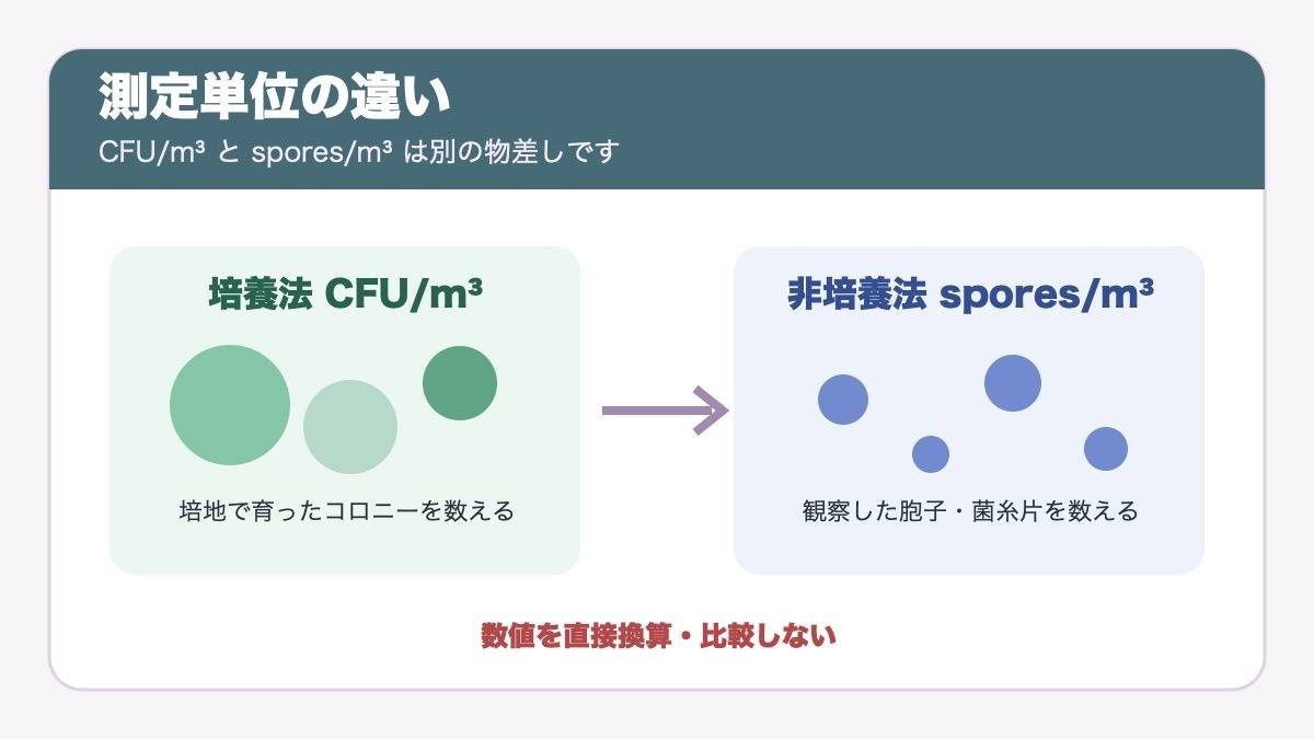 培養法CFUと非培養法sporesの違いを示す図