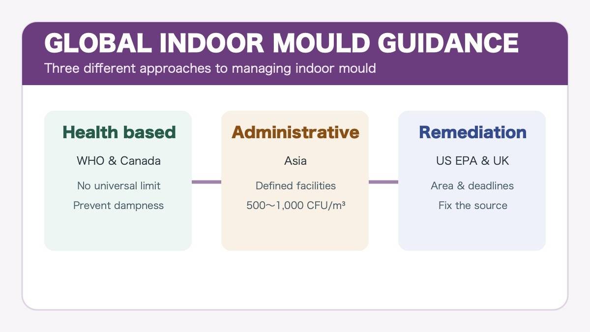 Global Indoor Mould Standards｜WHO, Europe, Asia and North America