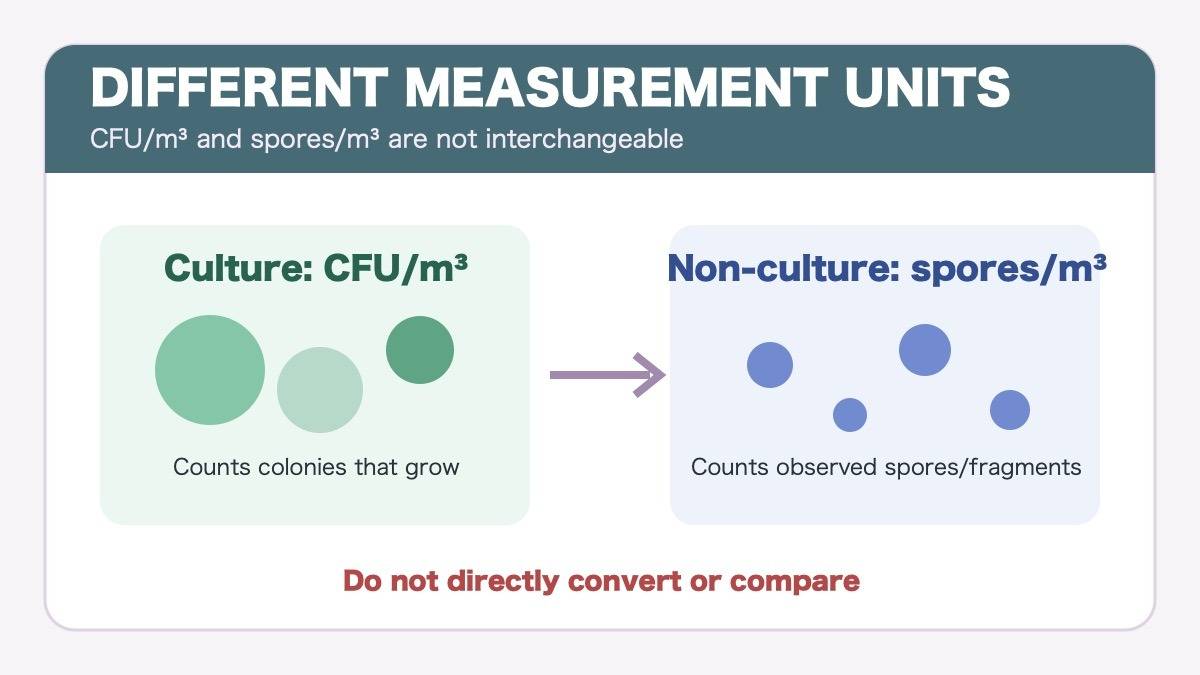 Difference between culture-based CFU and non-culture spore counts