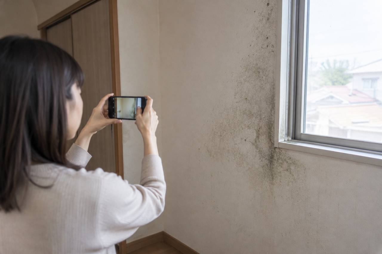 気になるしみの場所と発生時期を写真で記録します。
