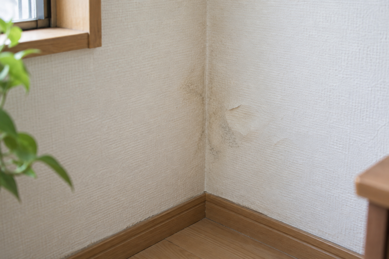 壁紙の隅にある薄い水染みと浮き