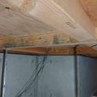 新築なのに床下がカビだらけ！？見えない住宅トラブルの原因と対策をＭＩＳＴ工法®カビバスターズが徹底解説