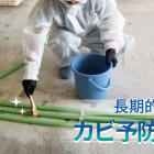 防カビ剤は本当に効果がある？再発するカビの本当の原因と見落とされがちな対策を徹底解説