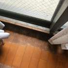 高気密・高断熱住宅でも油断禁物！ハニカムシェードが引き起こす窓際結露とカビ被害の実態とは？