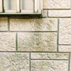 埼玉県加須市のカビ対策ガイド｜専門家が教える原因調査と根本解決の重要性