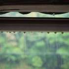 【2026年最新】梅雨・猛暑のカビ対策決定版！カビバスターズのMIST工法®とセルフ診断術