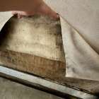 大阪府茨木市で増加するカビ問題と健康リスク｜見えない真菌の危険性と専門検査の重要性をわかりやすく解説