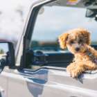 【大阪府高槻市のカビ対策完全ガイド】見えないカビの危険と真菌検査の重要性|MIST工法®カビバスターズ本部が解説