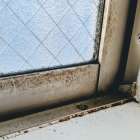 大阪府八尾市のカビ問題を徹底解説｜見えない壁内カビの危険性と真菌検査の重要性とは？MIST工法®カビバスターズが原因から対策までわかりやすく解説