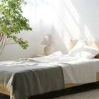 寝室でカビが発生しやすい場所と寝具種類別のカビ取り対策！