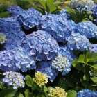 梅雨のカビ対策とカビ取り方法！ 湿気の多い季節に備えよう！