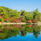 秋から始まるカビ対策！ 気温低下で室内のカビ細胞が増殖し始める時期