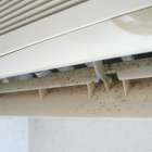 カビ臭を取る方法｜MIST工法®カビバスターズが教える安全・安心の最先端対策