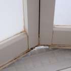 カビを強力に除去する「カビ取りいっぱつ」の魅力と、専門業者ＭＩＳＴ工法®カビバスターズによる安心サポート