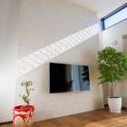 日当たり・風通しが悪い家のカビリスクと解消法