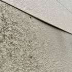 壁に生えたカビも重曹で落とせる！？自宅で簡単にできるカビ取り方法とポイント