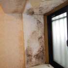 加古川市で増加するカビトラブルの原因と対策｜見えない壁内カビまで徹底調査するＭＩＳＴ工法®カビバスターズ本部の完全ガイド