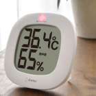 沖縄のカビ対策完全ガイド｜原因・予防・除去・再発防止まで専門業者が徹底解説【全国対応】