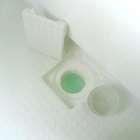 高湿環境で急増するチョウバエとカビの危険な関係とは？見逃すと健康被害に繋がる理由と根本対策【ＭＩＳＴ工法®カビバスターズ】