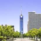 【福岡のカビ問題は“湿気”だけではない】PM2.5・黄砂・再開発・地下空間が招く都市型カビリスクと正しい対策法