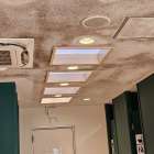 【要注意】サービスエリア・道の駅のトイレ天井に広がる黒カビ…その原因は「夏型結露」かもしれません！