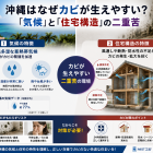 沖縄のカビが消えない本当の原因｜RC造住宅の