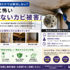 【雨漏り調査だけでは不十分？】見えないカビ被害を防ぐために必要な「真菌検査」と原因究明の重要性