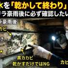 床下浸水を「乾かして終わり」は危険。台風・ゲリラ豪雨後に必ず確認したいカビ対策