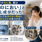 そのカビ臭、実は「雨のにおい」と同じ成分だった！換気しても消えない理由と隠れたカビの見つけ方
