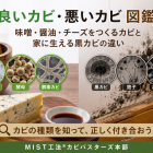 良いカビ・悪いカビ図鑑｜味噌・醤油・チーズをつくるカビと家に生える黒カビの違い
