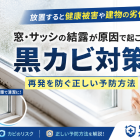 窓・サッシの結露が原因で起こる黒カビ対策｜再発を防ぐ正しい予防方法