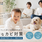 赤ちゃん・ペットがいる家庭の安全なカビ対策｜健康を守る原因別予防と正しい除去方法