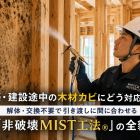 【建設会社・工務店必見】新築・建設途中の木材カビにどう対応する？解体・交換不要で引き渡しに間に合わせる「非破壊MIST工法®」の全貌