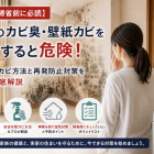 【お盆の帰省前に必読】実家のカビ臭・壁紙カビを放置すると危険！安全な除カビ方法と再発防止対策をプロが徹底解説