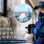【福岡のカビ取り業者】高温多湿でカビが発生しやすい理由｜福岡市のカビバスターズ福岡が迅速対応