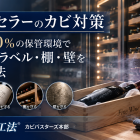 ワインセラーのカビ対策｜湿度約70％の保管環境でコルク・ラベル・棚・壁を守る方法