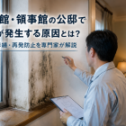 大使館・領事館の公邸でカビが発生する原因とは？結露・修繕・再発防止を専門家が解説