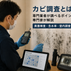 カビ調査とは？専門業者が調べるポイントと真菌検査・含水率・壁内調査を専門家が解説