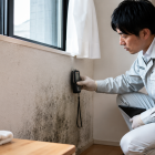 市販のカビ取り剤で再発する原因と専門検査の必要性